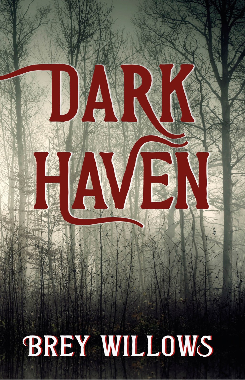 Dark Haven is Ready for&nbsp;You