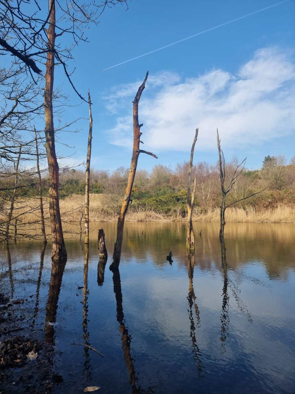 I hope you only have small&nbsp;talk.